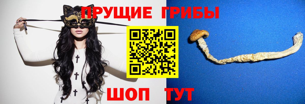 Псилоцибиновые грибы GOLDEN TEACHER  Вход с VPN  Гуково 