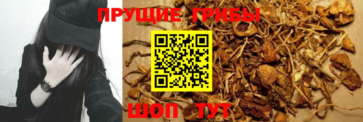 Галлюциногенные грибы мицелий Гуково